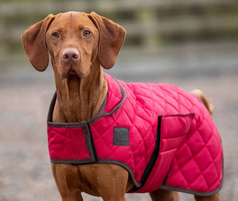 Shires Digby Fox Quilted Dog Coat S Red