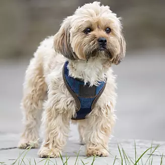 Shires Digby/Fox Tweed Dog Harness