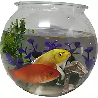 Komodo Plastic Round Fish Bowl