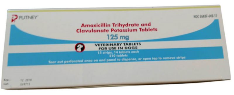 Clavacillin Tablet Dog Com