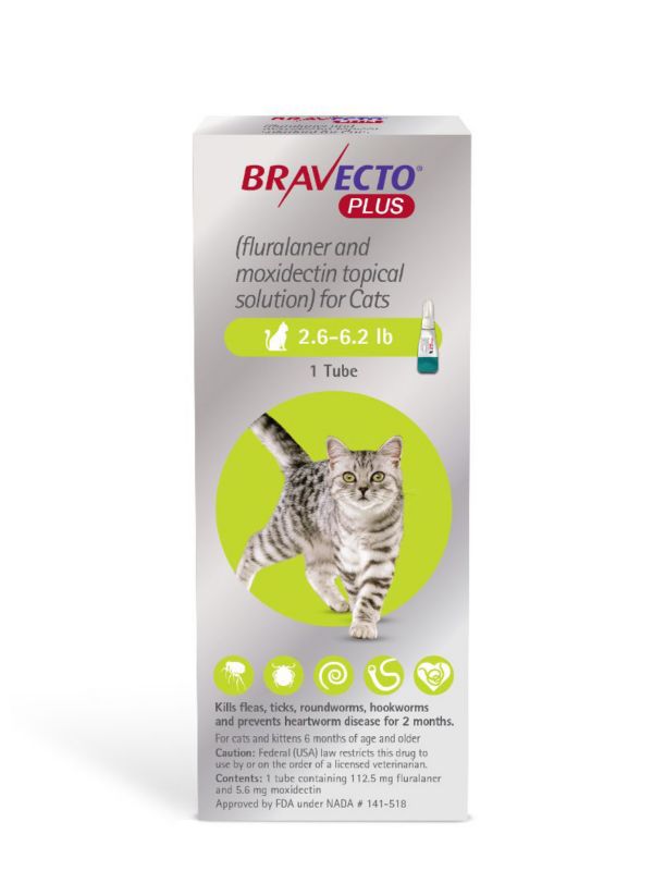 Bravecto Plus for Cats 2.6 - 6.2lb