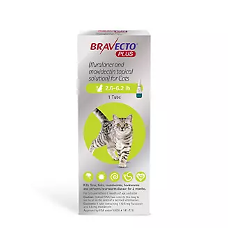 Bravecto Plus for Cats 2 Month Dose