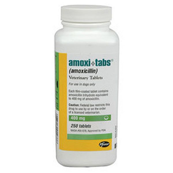 Amoxicillin 400mg 1 Tablet
