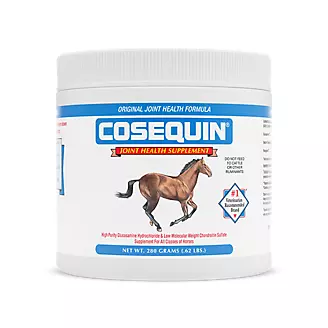 Cosequin Equine Powder