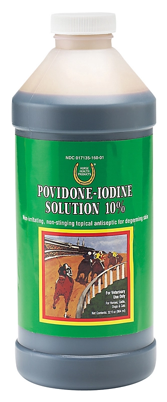 Betadine: Antiseptic Solution To Disinfect Wounds In Dogs