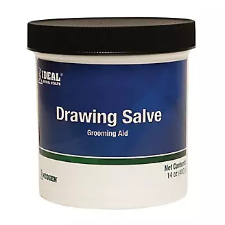 Ideal Drawing Salve