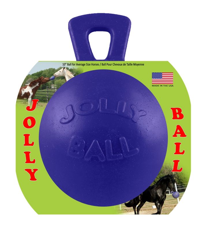 horse playing with jolly ball