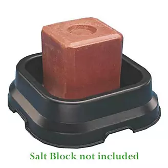 Fortiflex Salt Block Pan Black