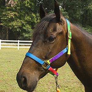 Southwestern Equine Rainbow Halter and Lead Horse Size Adjustable Nose Clip Jaw Side - by Rainbow Halter w/Side Clip