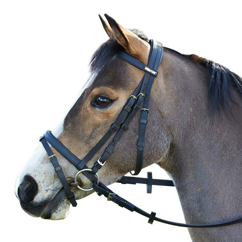 Wintec Bridle with Flash Horse Black