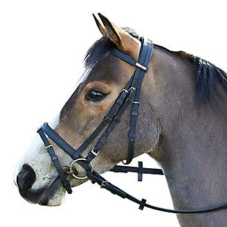 Wintec Bridle Without Flash