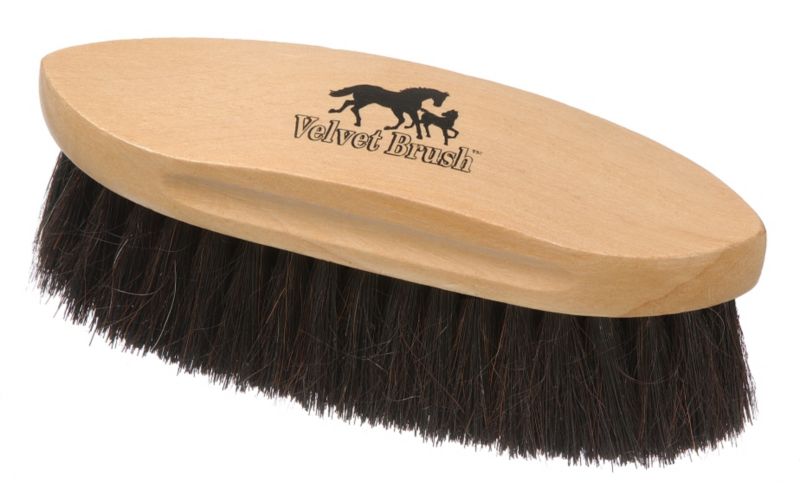 horse hair brush