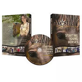 Stacy Westfall Starting Young Horses DVD