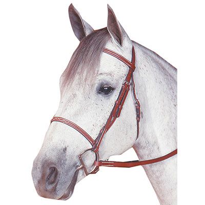 Kincade Raised Fancy Stitched Bridle Warmblood