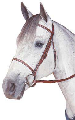 Kincade Raised Fancy Stitched Bridle Pony