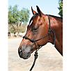 Professionals Choice Clinician Rope Halter