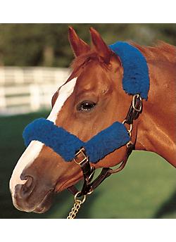 Horse 4 pc TURQUOISE HALTER TUBE FLEECE KIT For crown cheeks noseband comfort 