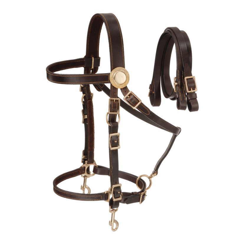 73-9805-7-0 Australian Outrider Deluxe Halter Bridle w/Reins B sku 73-9805-7-0