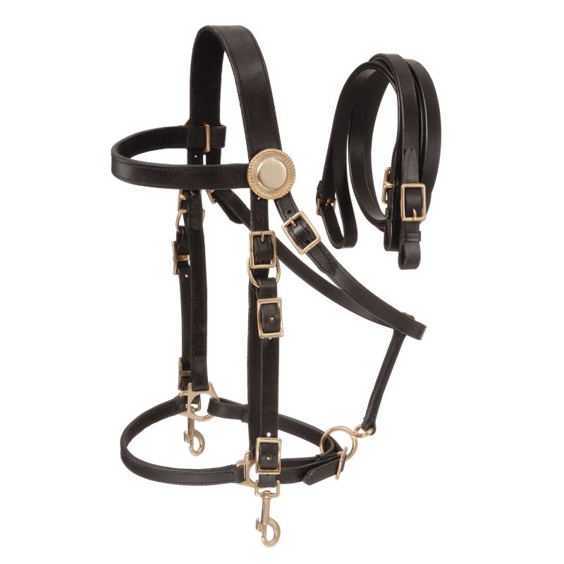 Australian Outrider Deluxe Halter Bridle w/Reins B