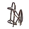 Australian Outrider Halter Bridle with Reins