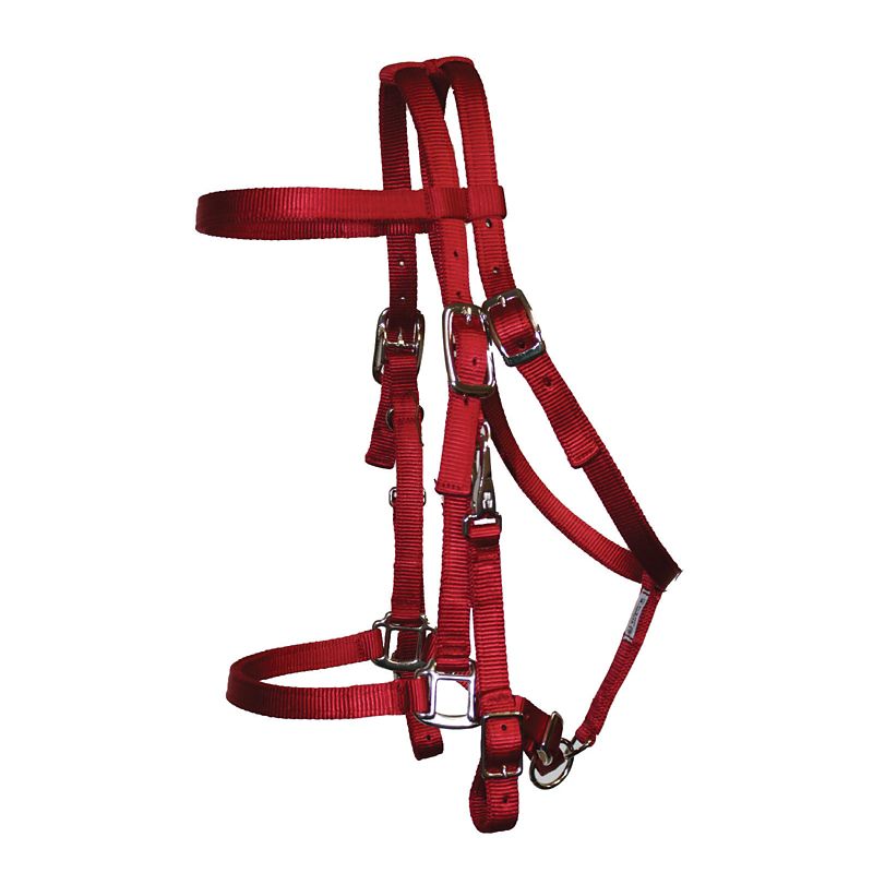 Triple E Nylon Halter Trail Bridle WarehouseOutlet