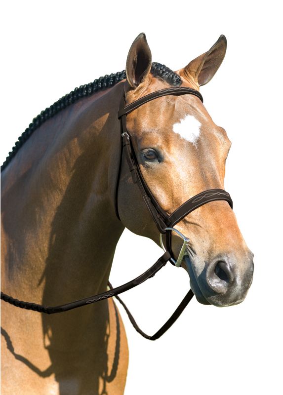 Rodrigo Pessoa Wide Noseband Show Bridle Cob Dark