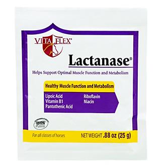 Vita Flex Lactanase