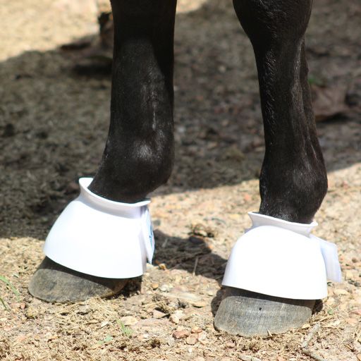 miniature horse splint boots