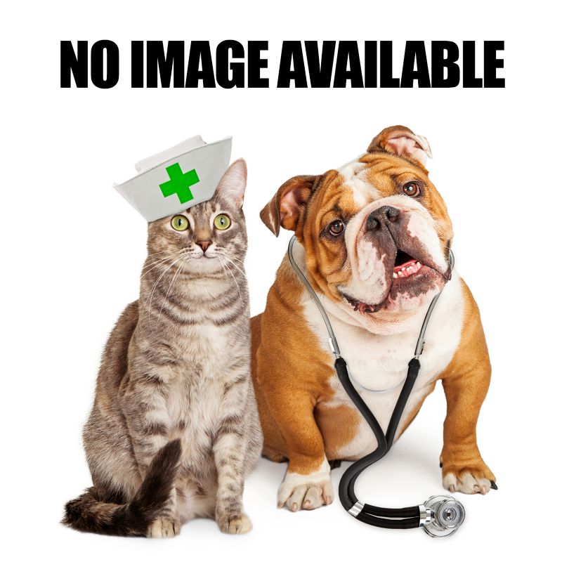 Amigo Fine Mesh Fly Mask with Ears