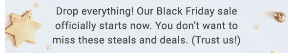 Drop everything! Our Black Friday sale officially starts now.