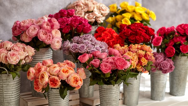 Flowers | Online Flower Delivery | Send Flowers | ProFlowers