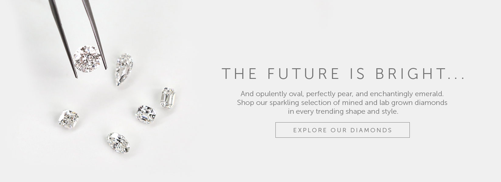 The Engagement Ring Store Robbins Brothers