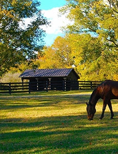 Belle Meade Plantation