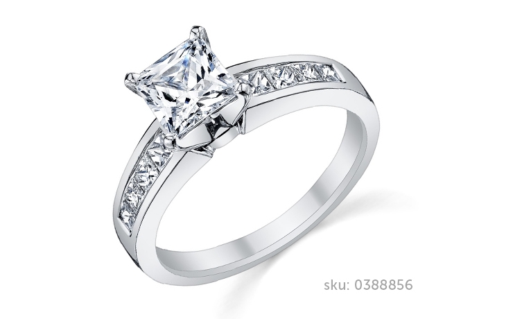 Princess Cut Engagement Ring