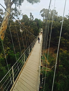 Spruce Street Suspension Bridge