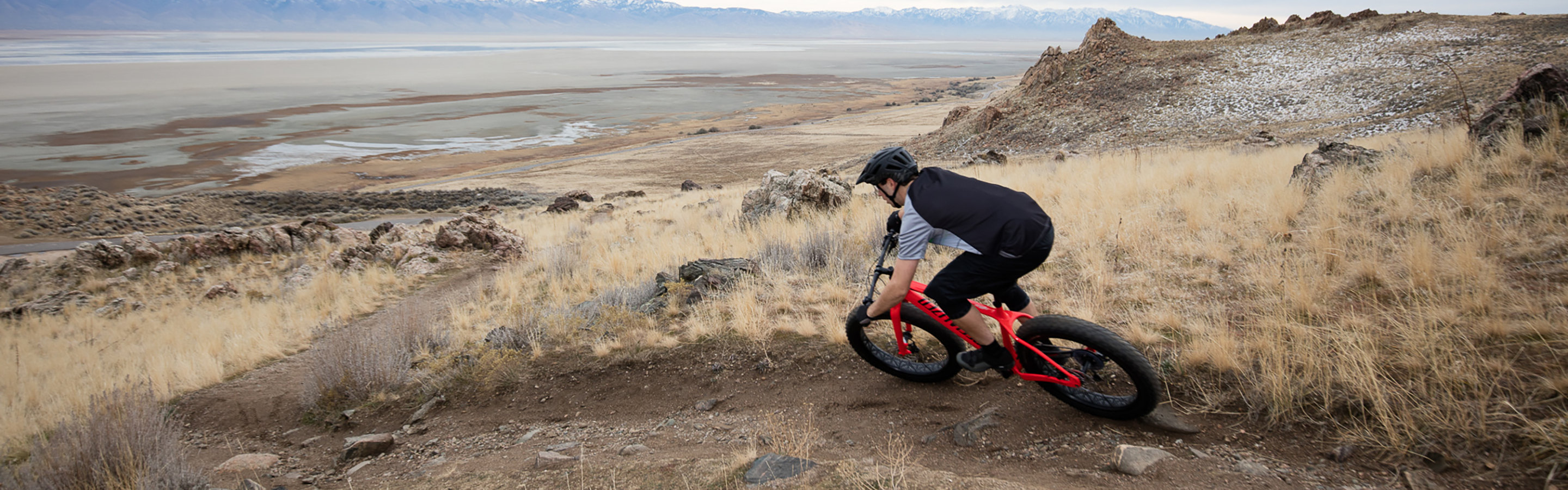 specialized fatboy tire 26