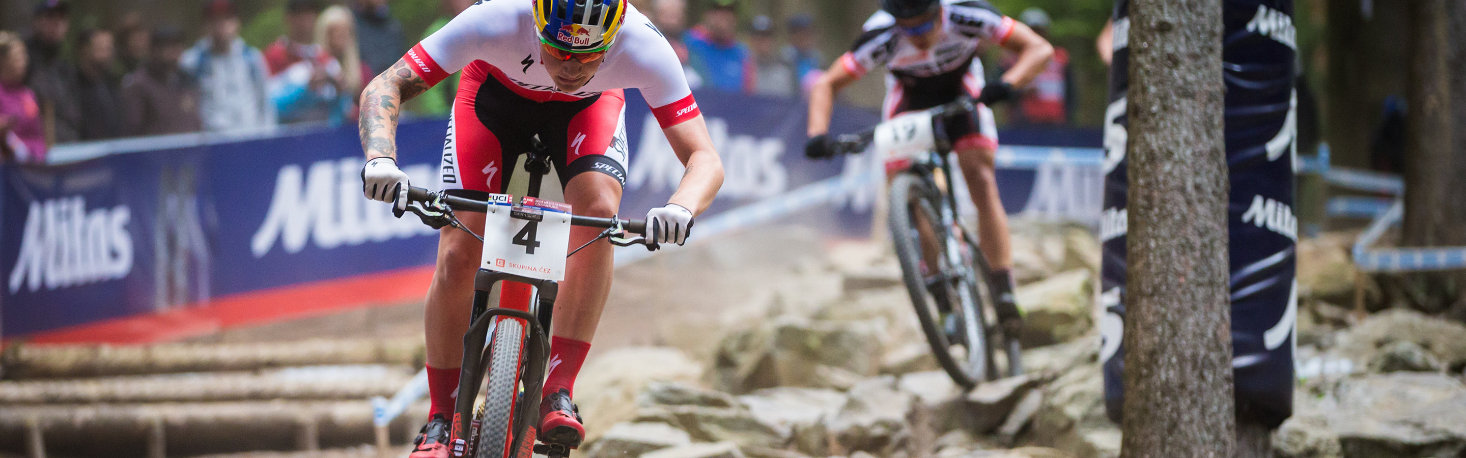 specialized cross country mountain bike