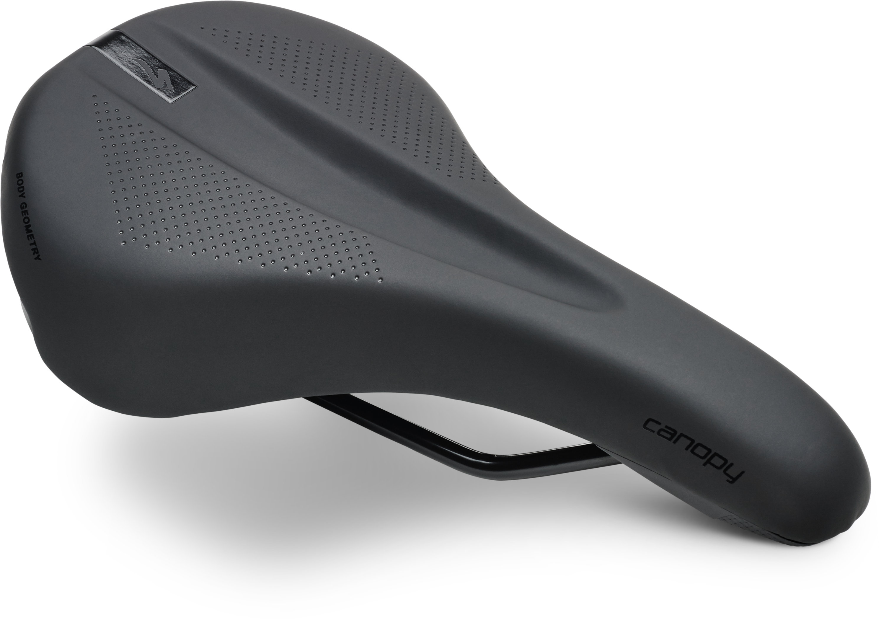 fizik cyrano stem r1