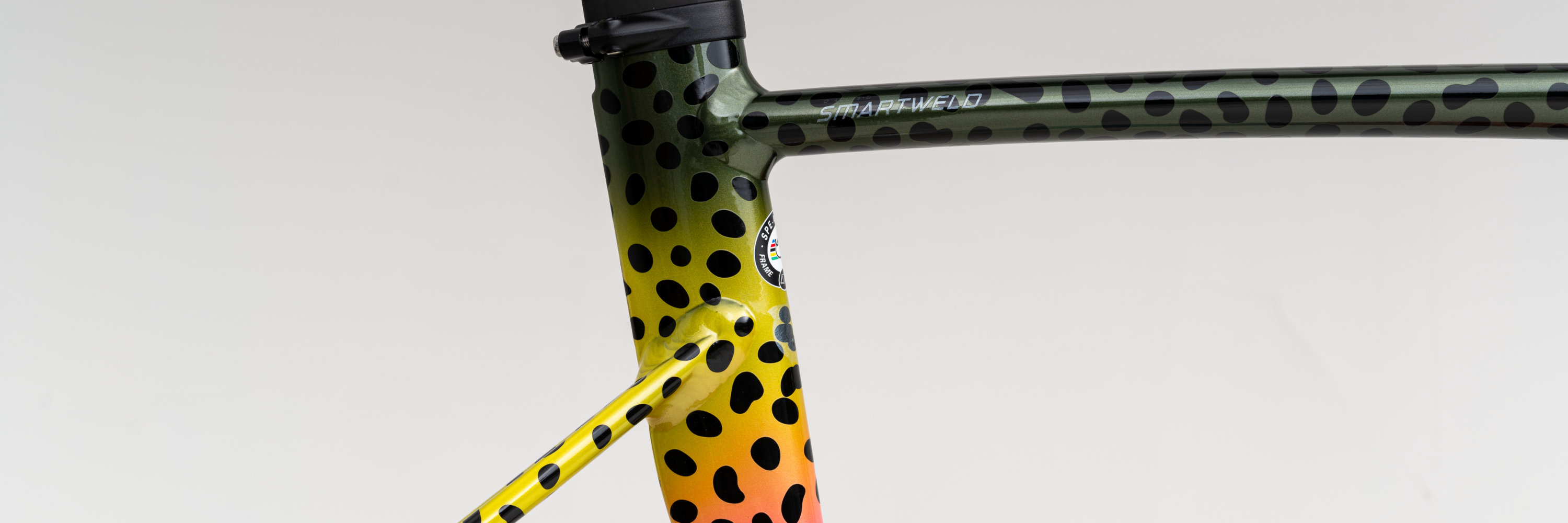 2021 specialized allez sprint disc