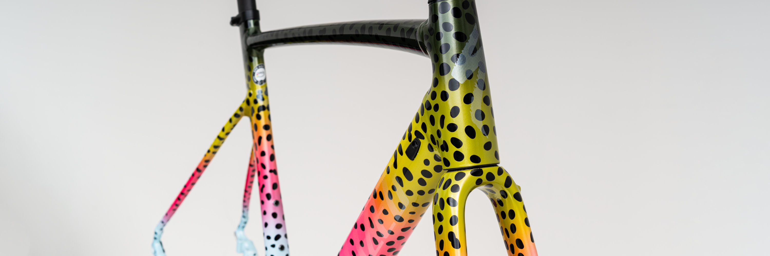 specialized allez sprint frameset 2021