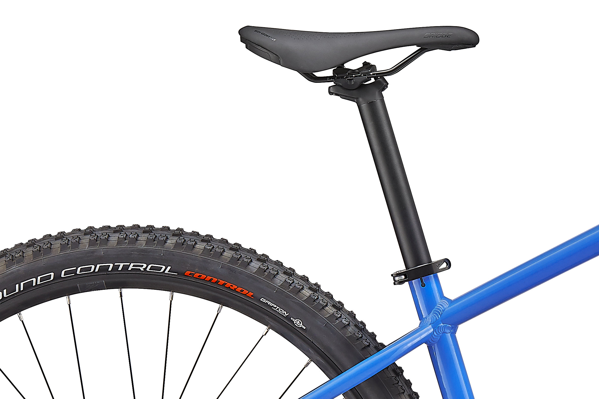 specialized rockhopper expert price