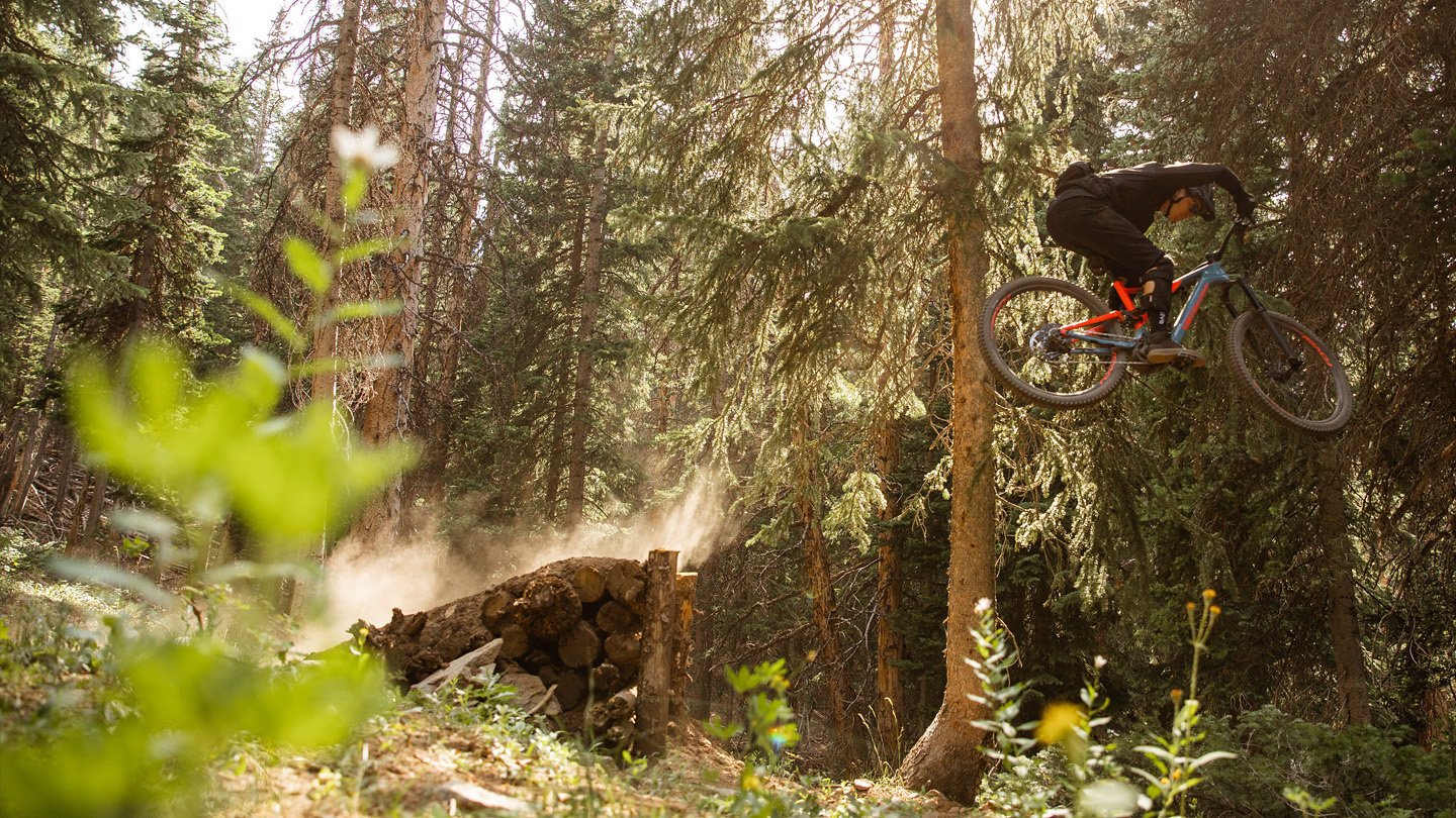 specialized turbo levo 2019 for sale