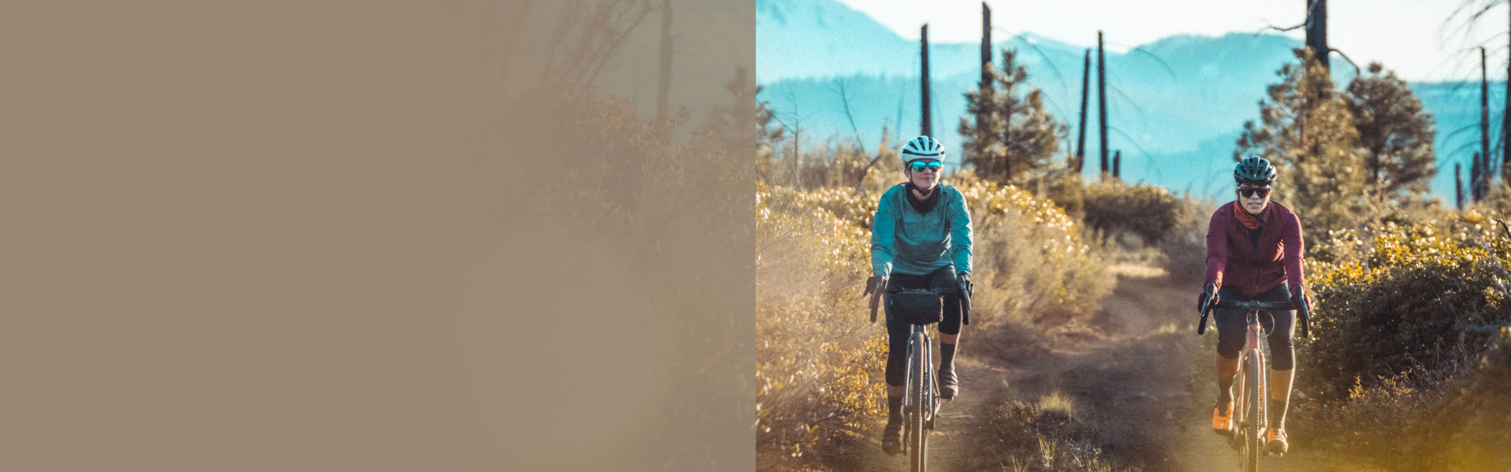 specialized cycling tights