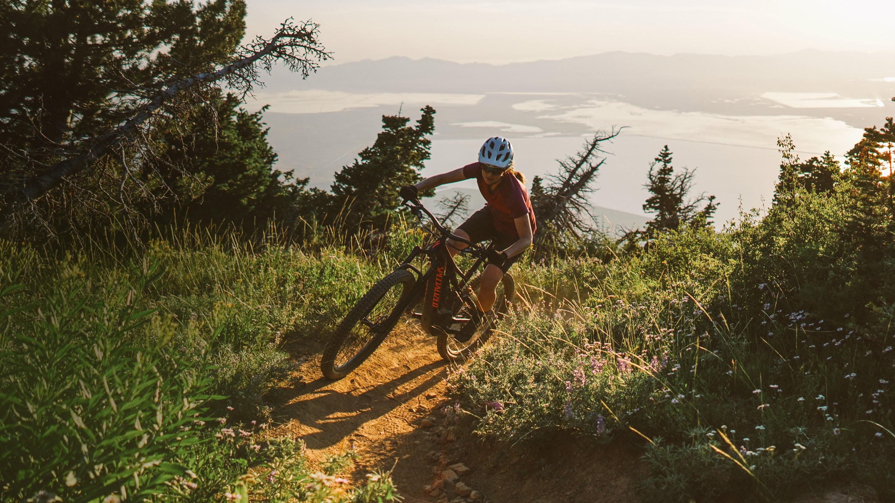 specialized levo 2015