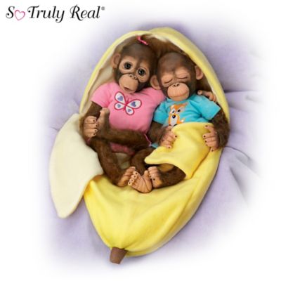 cindy sales monkeys