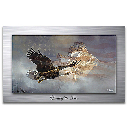 Ted Blaylock Land Of The Free Eagle Metal Print Wall Decor