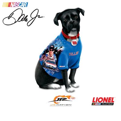 Figurines: A Furr-ocious Tribute To Dale Jr. Figurine Collection