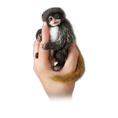 Doll Collection: Amazing Amazon Finger Monkeys