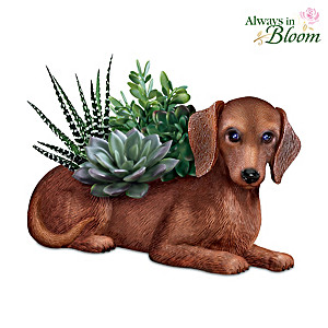 Dachshund Planter With Always In Bloom Succulents