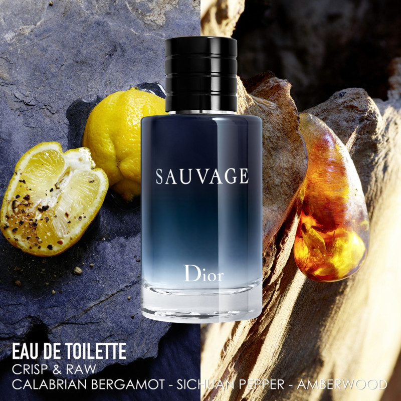 sauvage dior notes